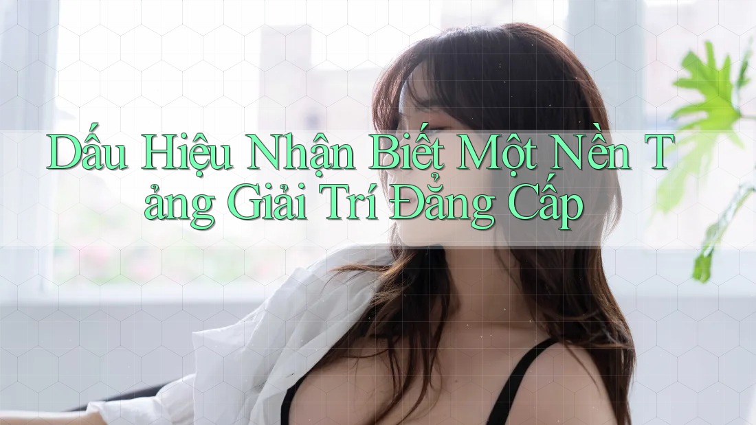 Dấu Hiệu Nhận Biết Một Nền Tảng Giải Trí Đẳng Cấp Dấu Hiệu Nhận Biết Một Nền Tảng Giải Trí Đẳng Cấp