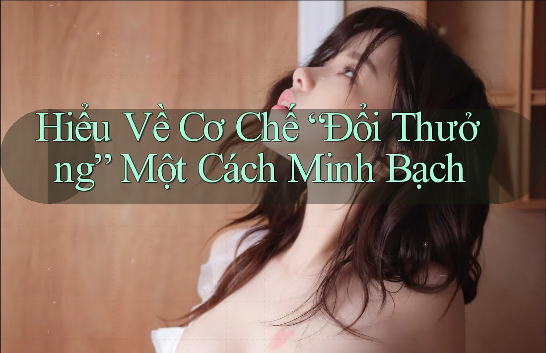 Hiểu Về Cơ Chế “Đổi Thưởng” Một Cách Minh Bạch Hiểu Về Cơ Chế “Đổi Thưởng” Một Cách Minh Bạch