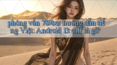 phỏng vấn 789bet hướng dẫn tiếng Việt Android 13 call là gì
