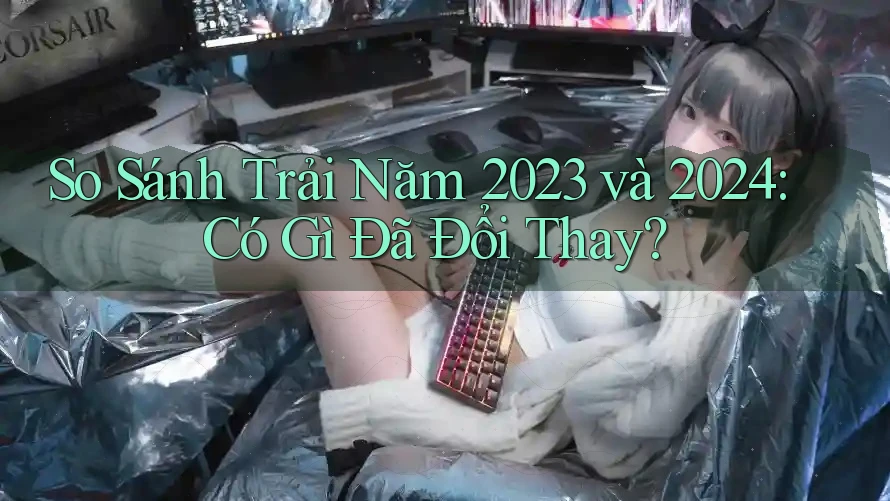 So Sánh Trải Năm 2023 và 2024: Có Gì Đã Đổi Thay?